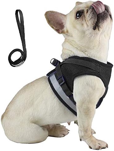 dog harness