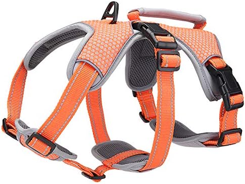 dog harness