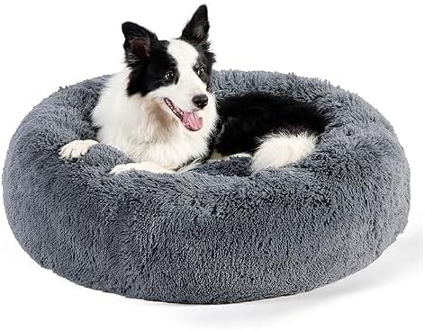 dog beds