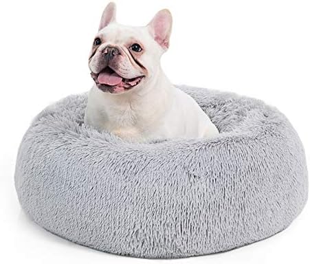 dog beds