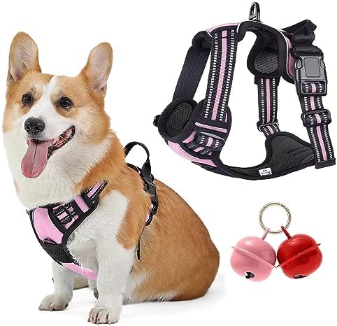 dog harness