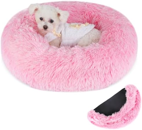 dog beds