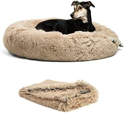 dog beds