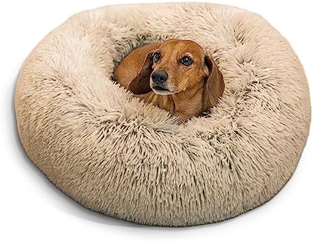 dog beds