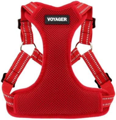 dog harness