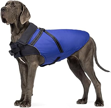 dog jackets