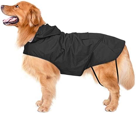 dog jackets