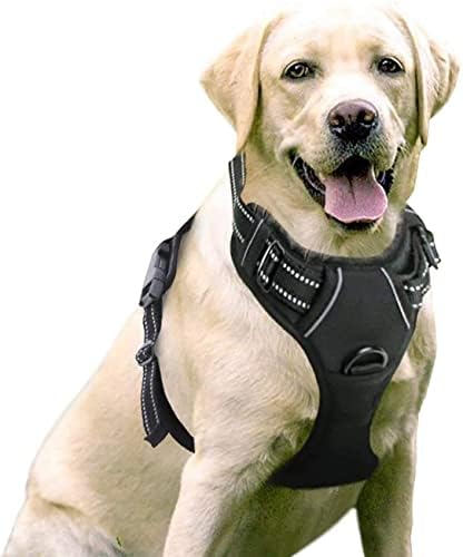 dog harness