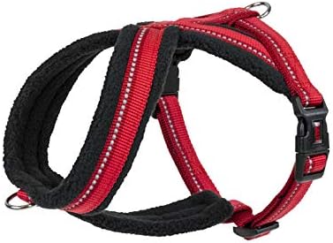 dog harness