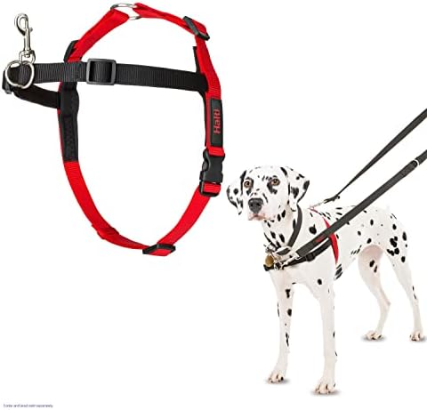 dog harness