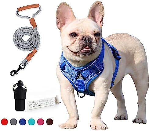 dog harness