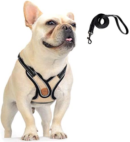 dog harness