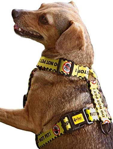 dog harness