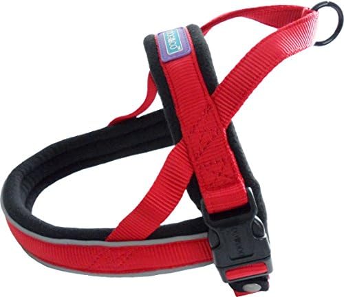 dog harness