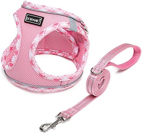 dog harness