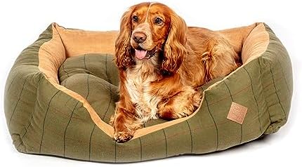 dog beds