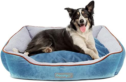 dog beds