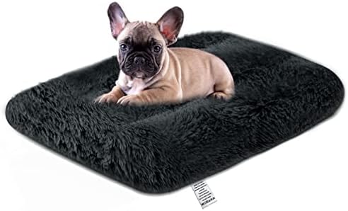 dog beds