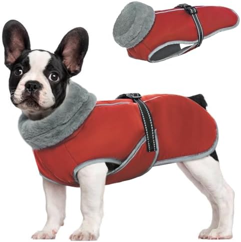 dog jackets