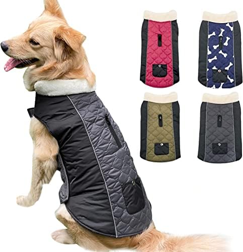 dog jackets