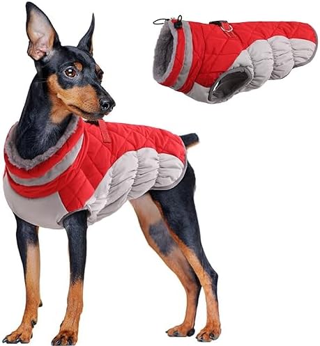 dog jackets