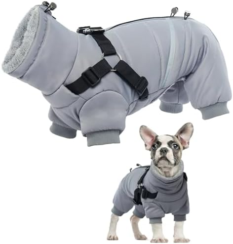 dog jackets