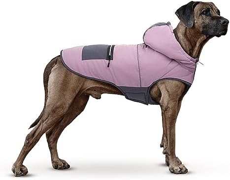 dog jackets