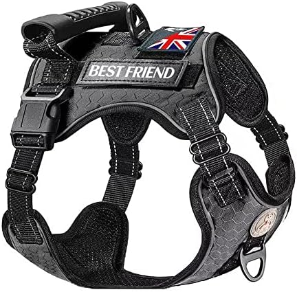 dog harness