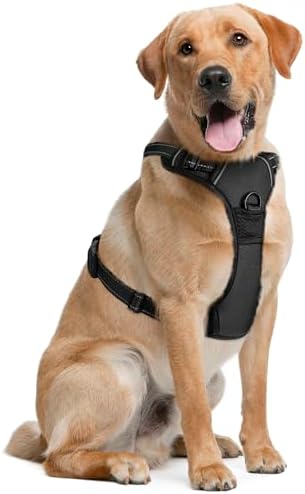 dog harness