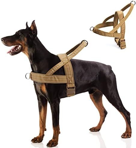 dog harness