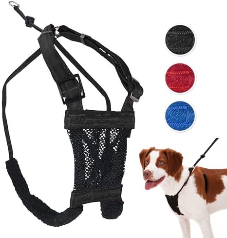 dog harness