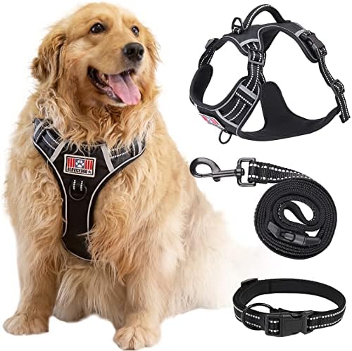 dog harness