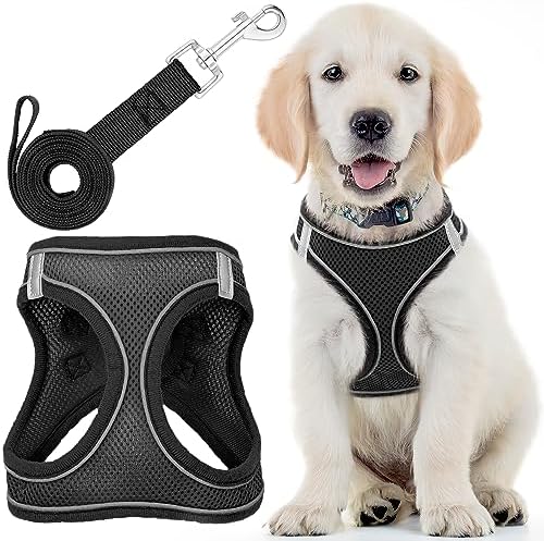 dog harness