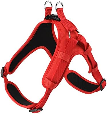 dog harness