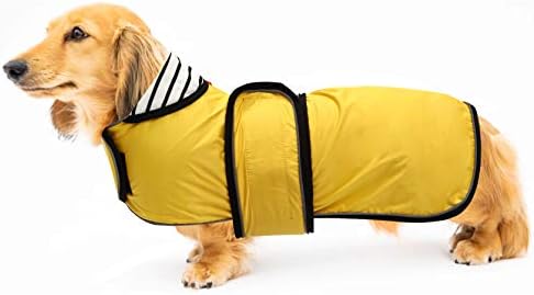 dog jackets