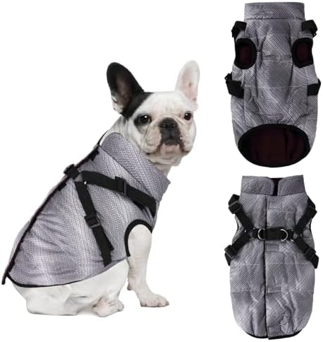 dog jackets