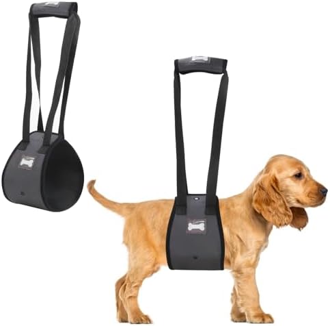 dog harness