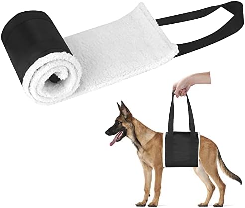 dog harness