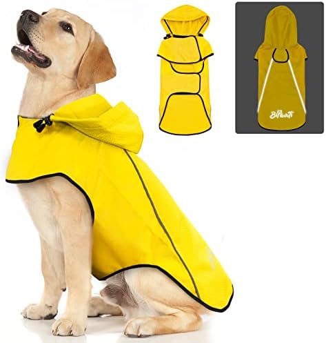 dog jackets