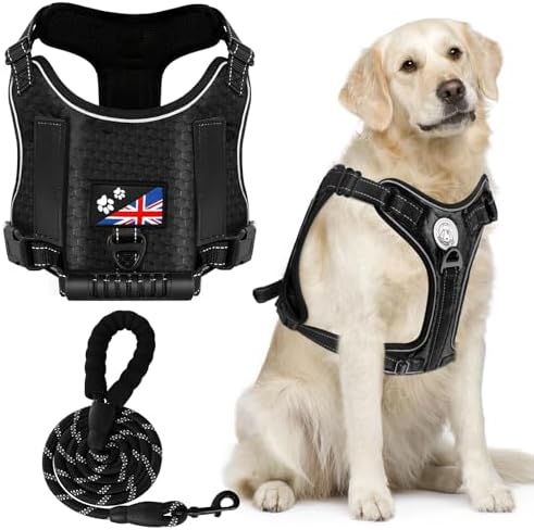 dog harness