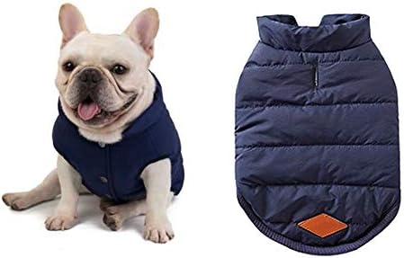 dog jackets