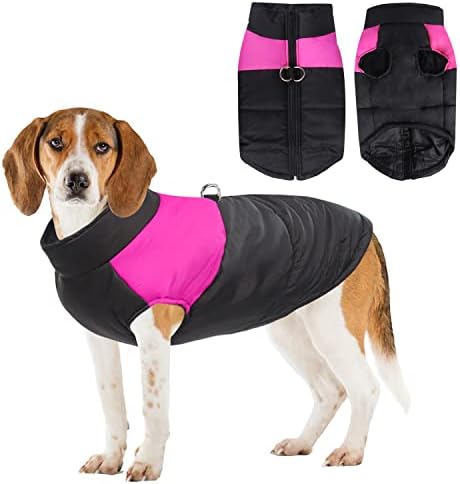 dog jackets