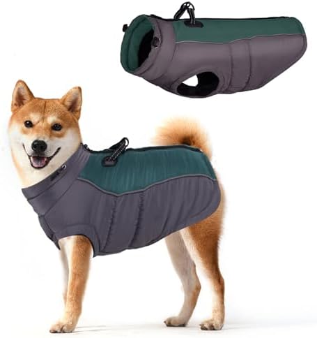 dog jackets for winter