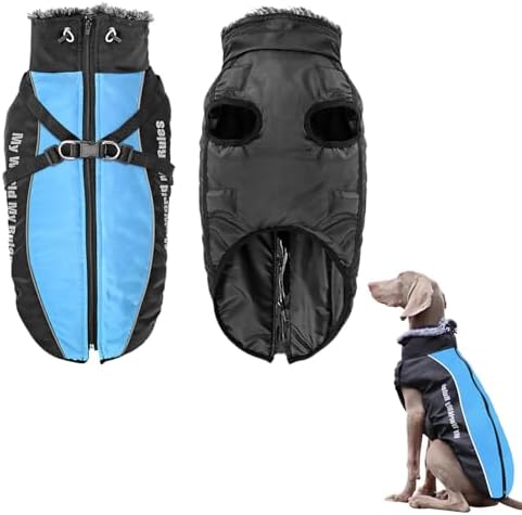 dog jackets