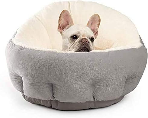 dog beds