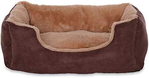 dog beds