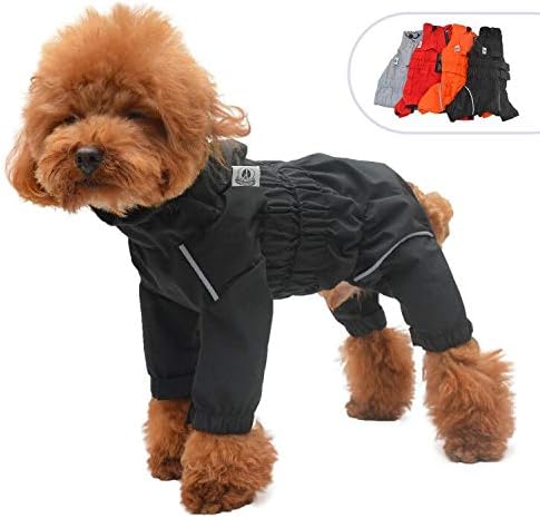 dog jackets