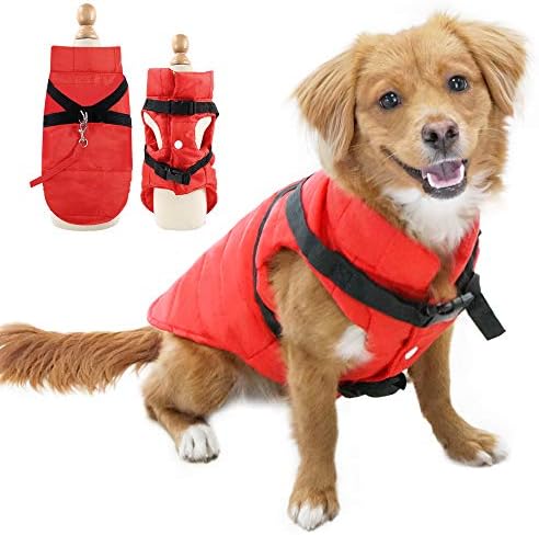 dog jackets