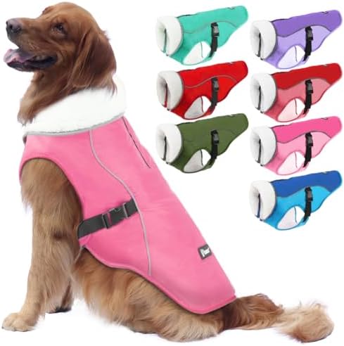 dog jackets