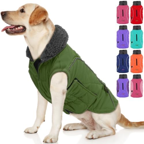 dog jackets